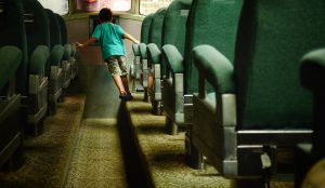 steve-shreve-259828-unsplash